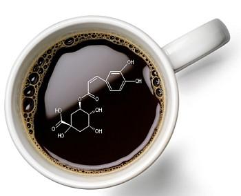 Antioxidants in Coffee