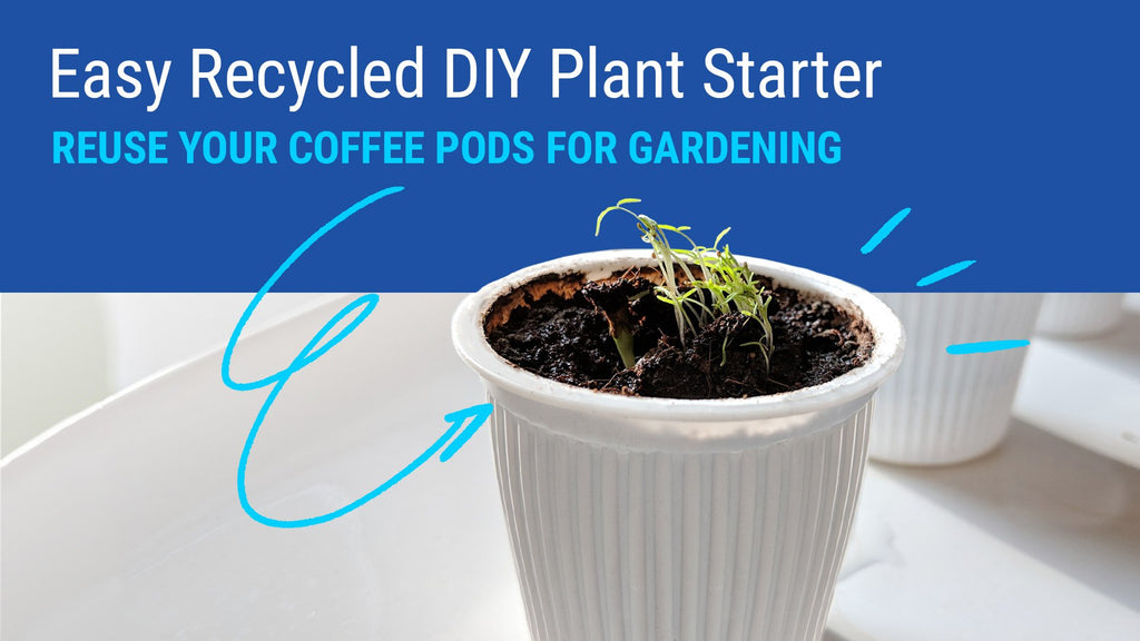 Easy Recycled DIY Plant Starter - Reuse Your Coffee Pods for Gardening